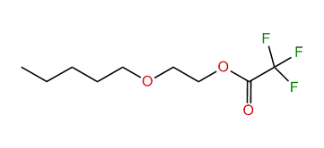 2-Pentoxyethyl trifluoroacetate